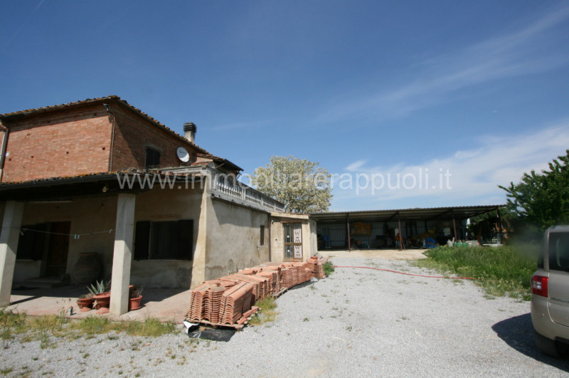 Immagine 19 di Rustico / casale in vendita  a Montepulciano