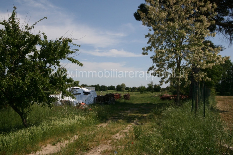 Immagine 20 di Rustico / casale in vendita  a Montepulciano