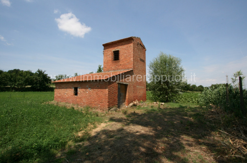 Immagine 2 di Rustico / casale in vendita  a Sinalunga