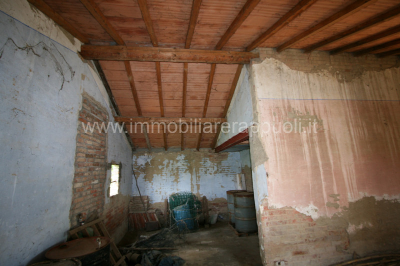 Immagine 4 di Rustico / casale in vendita  a Sinalunga