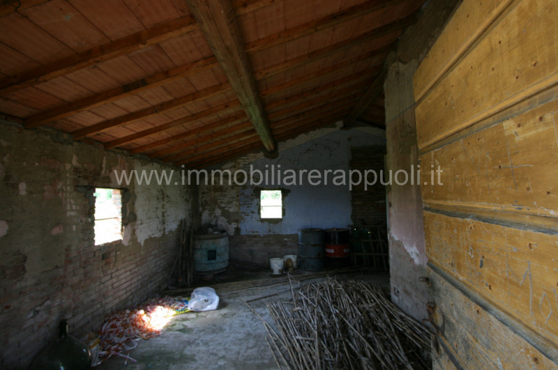 Immagine 5 di Rustico / casale in vendita  a Sinalunga