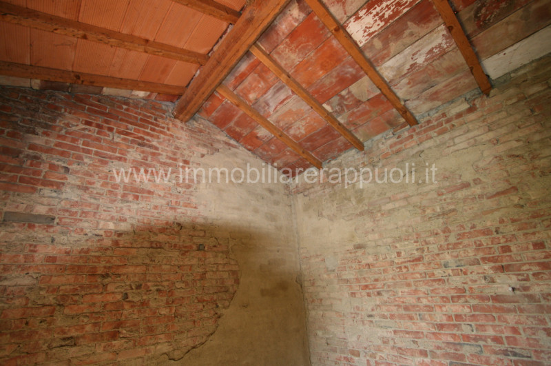 Immagine 8 di Rustico / casale in vendita  a Sinalunga