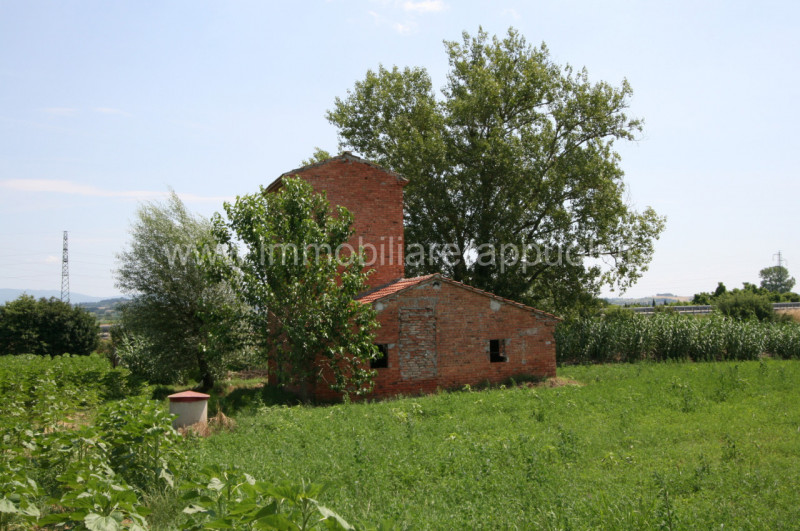 Immagine 11 di Rustico / casale in vendita  a Sinalunga