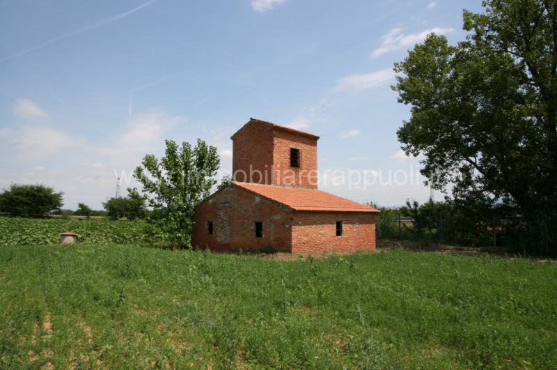 Immagine 12 di Rustico / casale in vendita  a Sinalunga