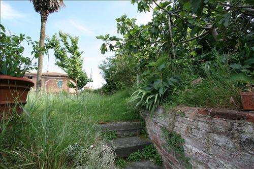 Immagine 14 di Appartamento in vendita  a Sinalunga