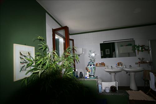 Immagine 18 di Appartamento in vendita  a Sinalunga