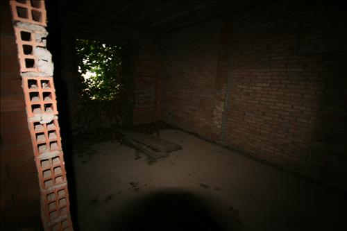 Immagine 3 di Rustico / casale in vendita  a Sinalunga