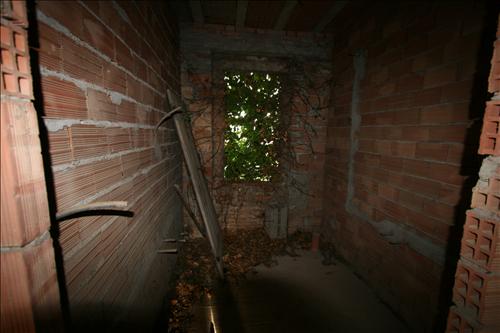 Immagine 4 di Rustico / casale in vendita  a Sinalunga