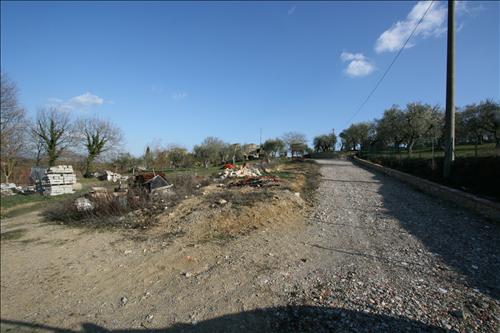 Immagine 3 di Rustico / casale in vendita  a Sinalunga