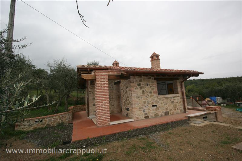 Immagine 5 di Rustico / casale in vendita  a Sinalunga