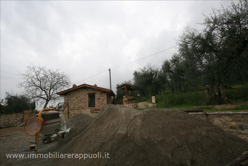 Immagine 6 di Rustico / casale in vendita  a Sinalunga