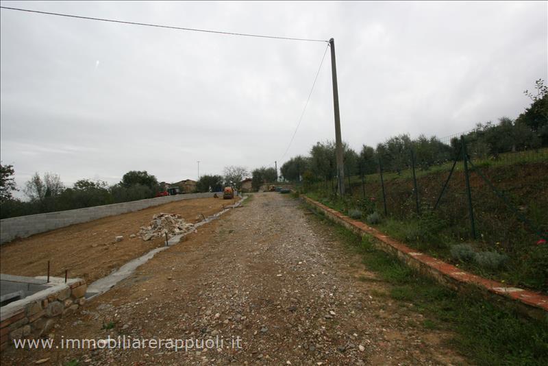 Immagine 7 di Rustico / casale in vendita  a Sinalunga