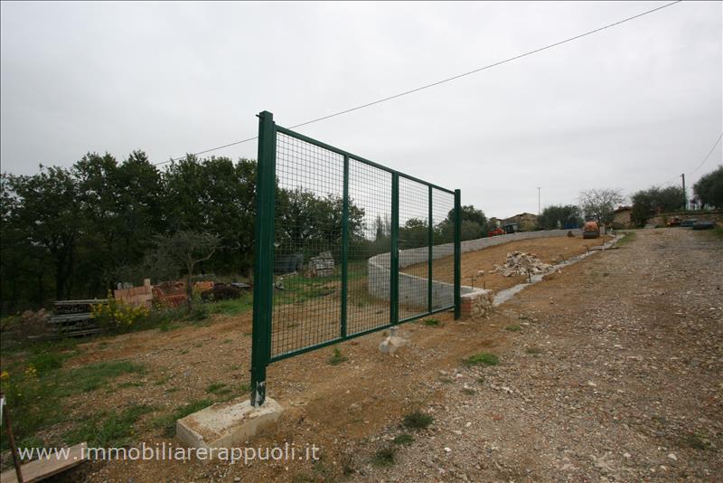 Immagine 8 di Rustico / casale in vendita  a Sinalunga