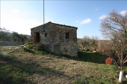 Immagine 11 di Rustico / casale in vendita  a Sinalunga