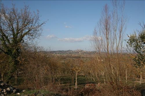 Immagine 14 di Rustico / casale in vendita  a Sinalunga