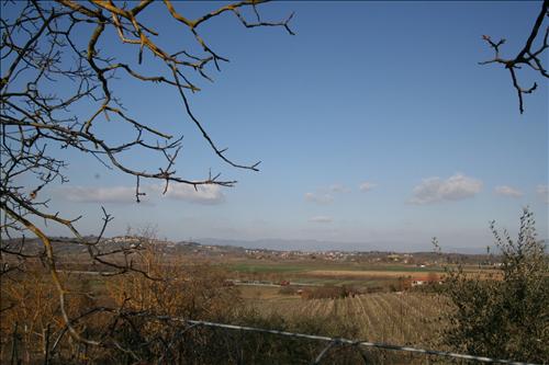 Immagine 16 di Rustico / casale in vendita  a Sinalunga