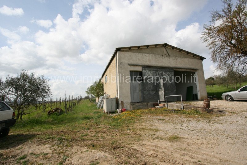 Immagine 1 di Rustico / casale in vendita  a Sinalunga
