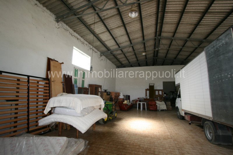 Immagine 2 di Rustico / casale in vendita  a Sinalunga