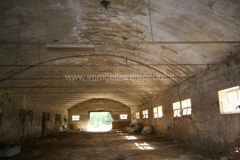 Immagine 2 di Rustico / casale in vendita  a Rapolano Terme