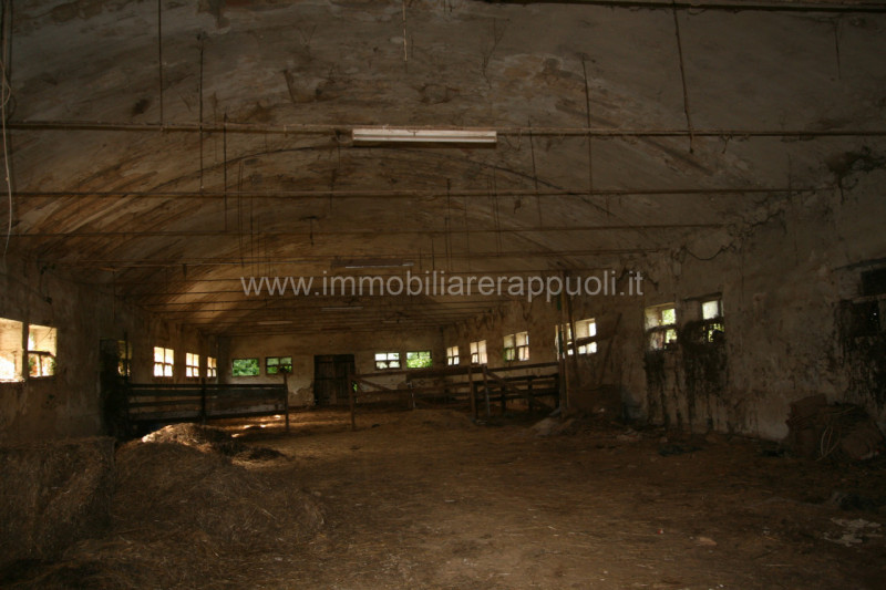 Immagine 3 di Rustico / casale in vendita  a Rapolano Terme