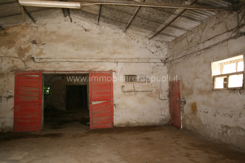 Immagine 4 di Rustico / casale in vendita  a Rapolano Terme