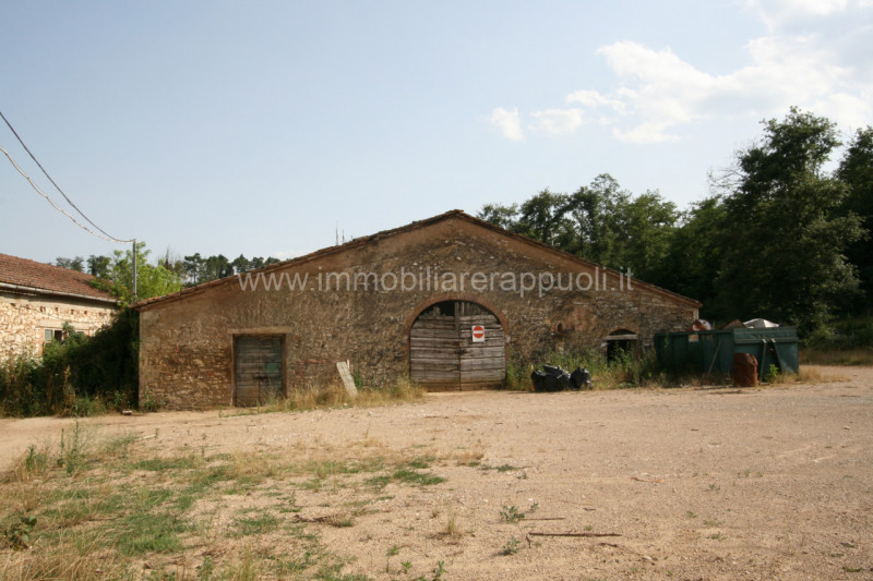 Immagine 5 di Rustico / casale in vendita  a Rapolano Terme