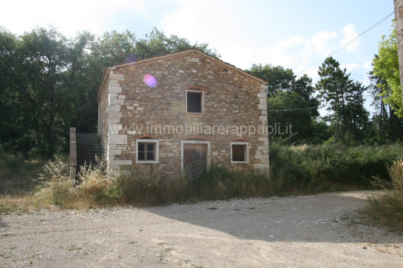 Immagine 6 di Rustico / casale in vendita  a Rapolano Terme