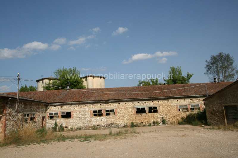 Immagine 7 di Rustico / casale in vendita  a Rapolano Terme