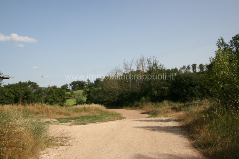 Immagine 9 di Rustico / casale in vendita  a Rapolano Terme