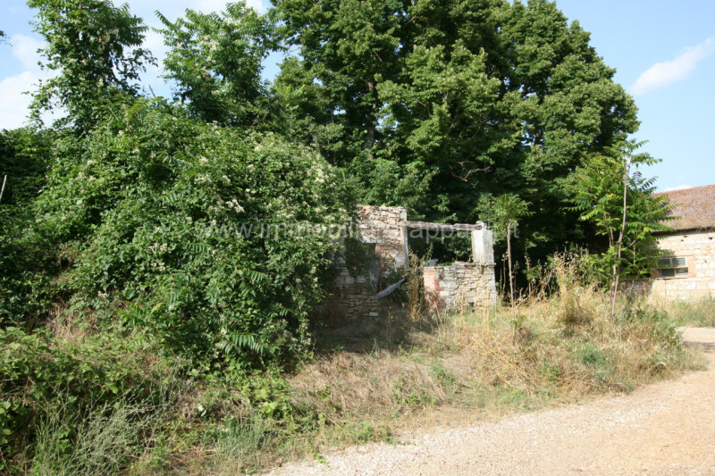 Immagine 12 di Rustico / casale in vendita  a Rapolano Terme