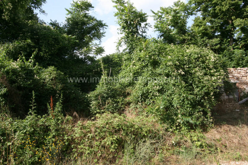 Immagine 13 di Rustico / casale in vendita  a Rapolano Terme