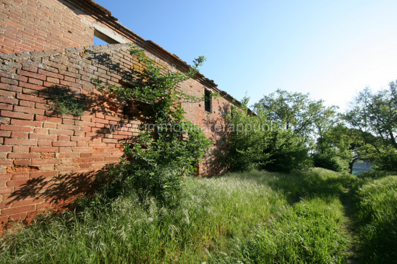 Immagine 3 di Rustico / casale in vendita  a Cortona