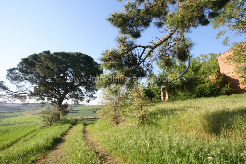 Immagine 5 di Rustico / casale in vendita  a Cortona