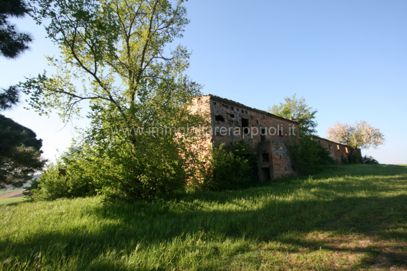 Immagine 6 di Rustico / casale in vendita  a Cortona