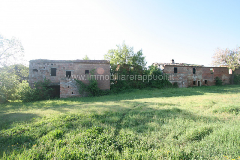 Immagine 7 di Rustico / casale in vendita  a Cortona