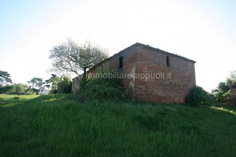 Immagine 8 di Rustico / casale in vendita  a Cortona