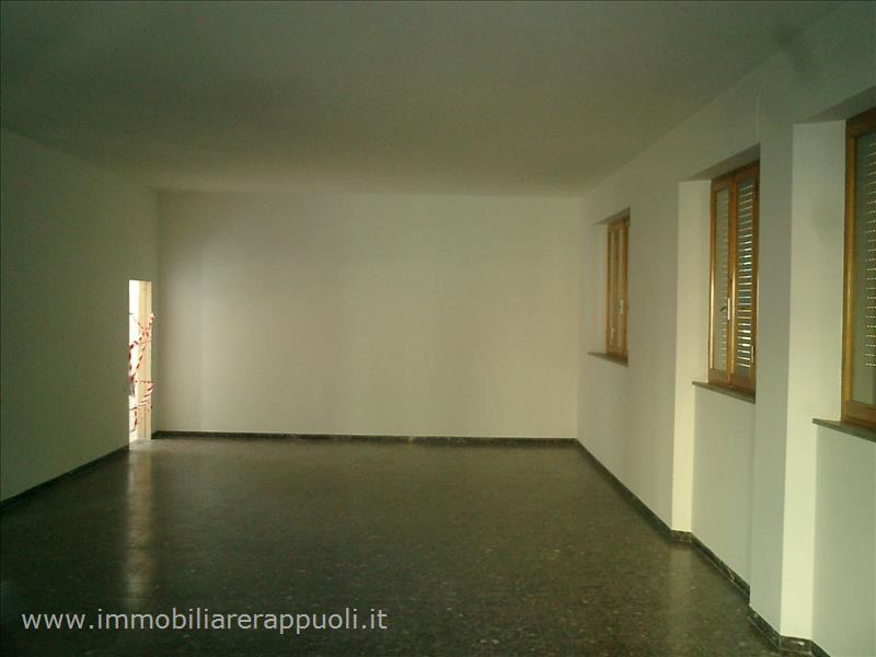 Immagine 2 di Negozio in vendita  a Sinalunga