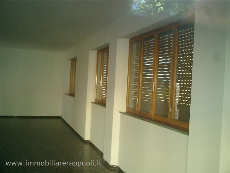 Immagine 3 di Negozio in vendita  a Sinalunga