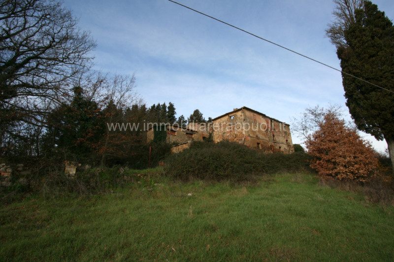 Immagine 1 di Rustico / casale in vendita  a Trequanda