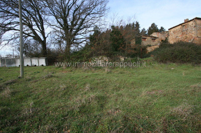 Immagine 2 di Rustico / casale in vendita  a Trequanda