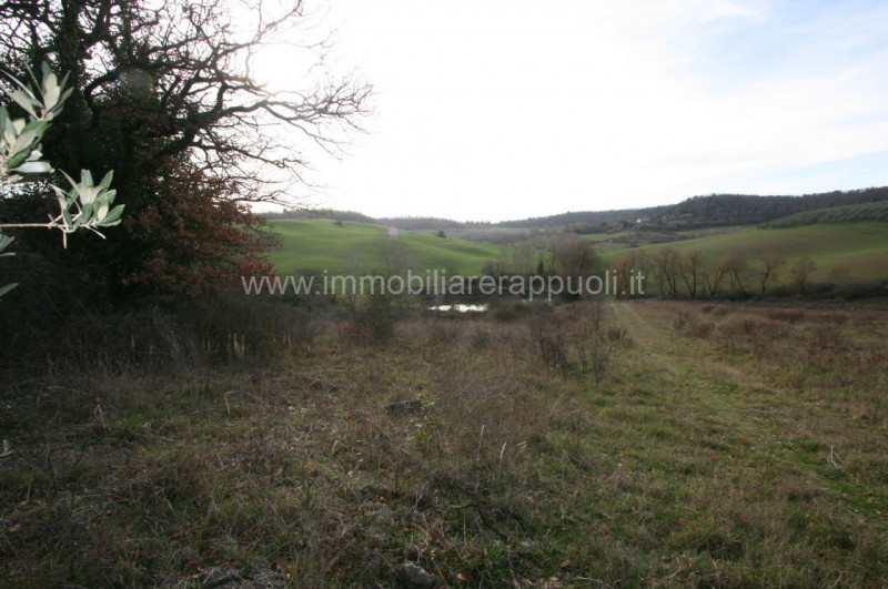 Immagine 4 di Rustico / casale in vendita  a Trequanda