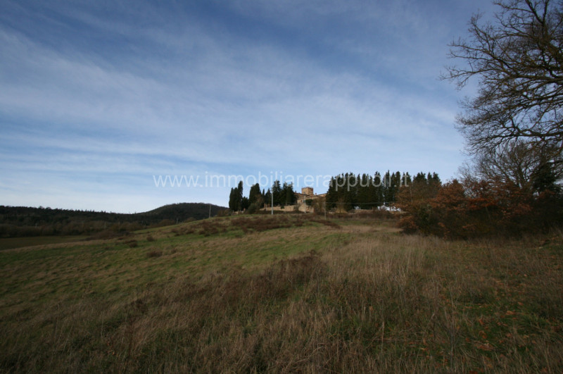 Immagine 5 di Rustico / casale in vendita  a Trequanda