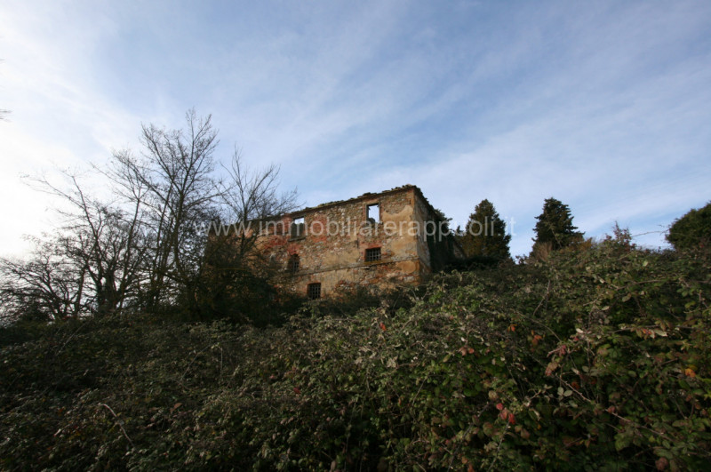 Immagine 6 di Rustico / casale in vendita  a Trequanda
