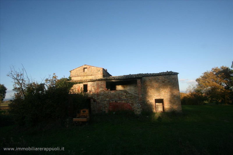 Immagine 2 di Rustico / casale in vendita  a Lucignano