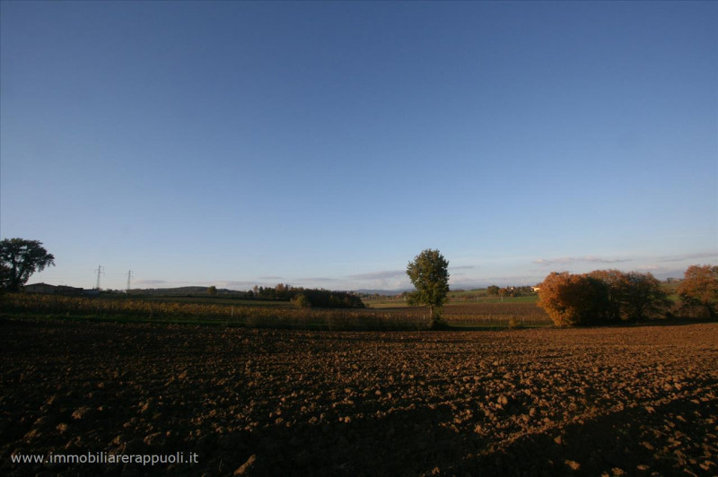 Immagine 4 di Rustico / casale in vendita  a Lucignano