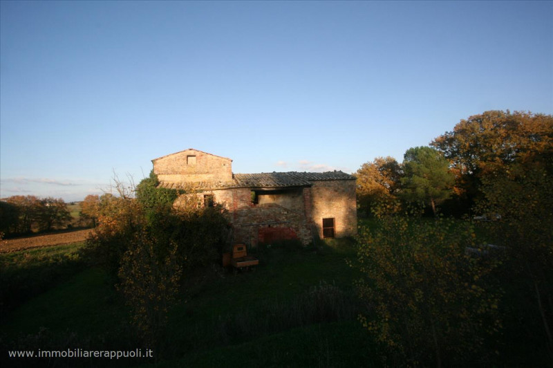 Immagine 5 di Rustico / casale in vendita  a Lucignano