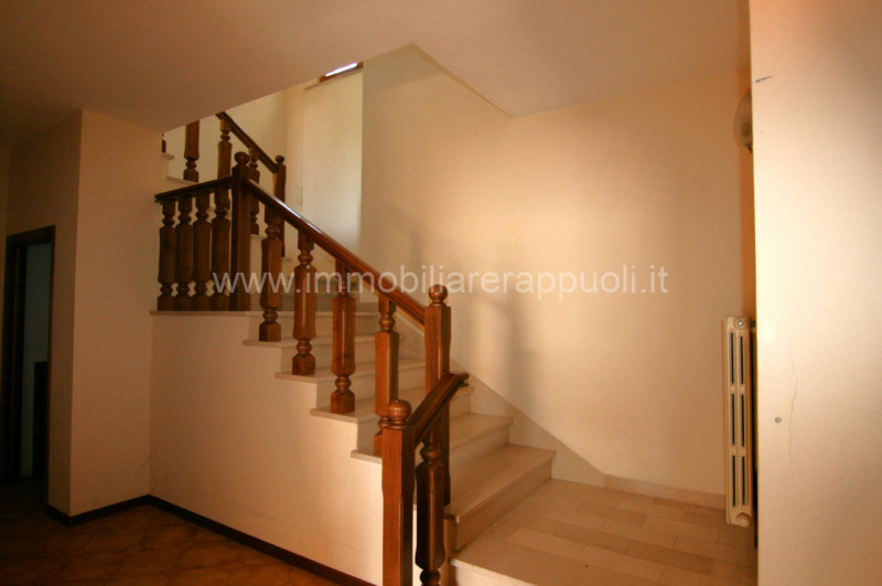 Immagine 2 di Villetta a schiera in vendita  a Trequanda