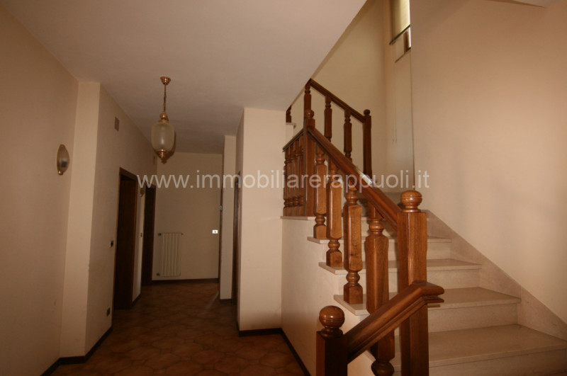 Immagine 3 di Villetta a schiera in vendita  a Trequanda