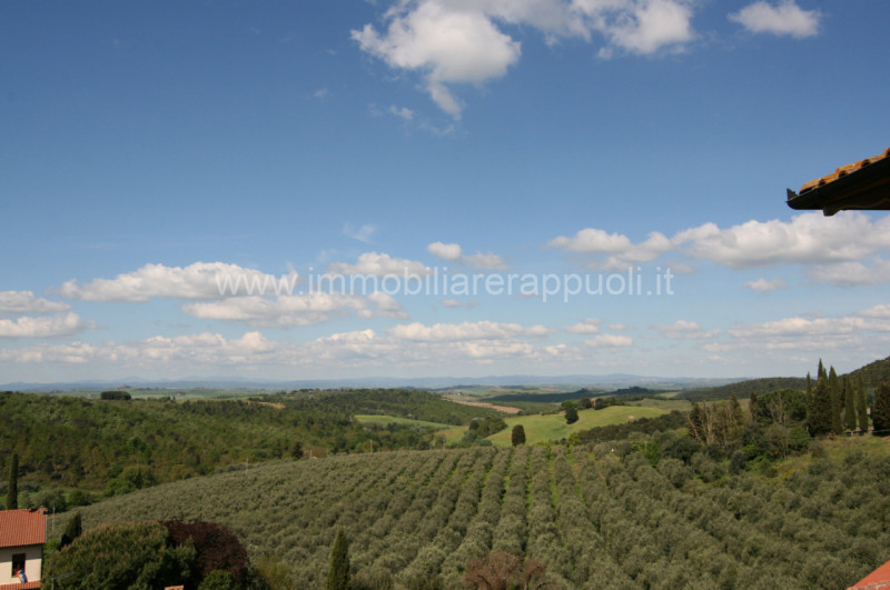 Immagine 24 di Villetta a schiera in vendita  a Trequanda