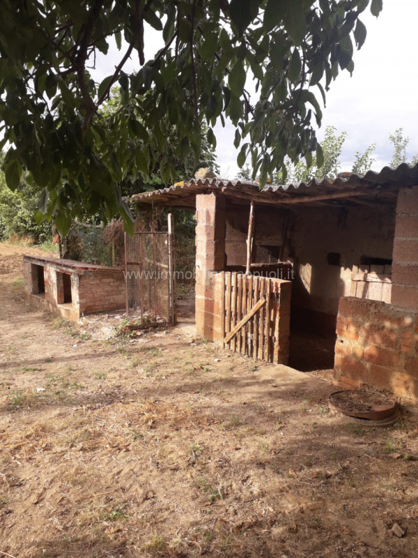 Immagine 19 di Casa indipendente in vendita  a Sinalunga